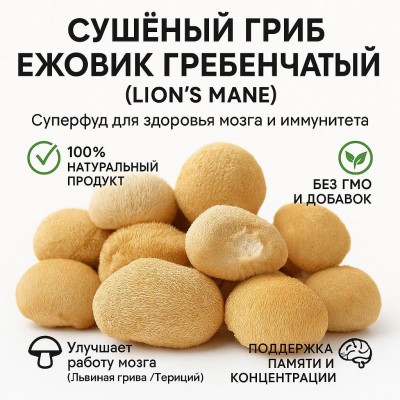 Ежовик гребенчатый 100 г – лечебный гриб для мозга, нервной системы и энергии.